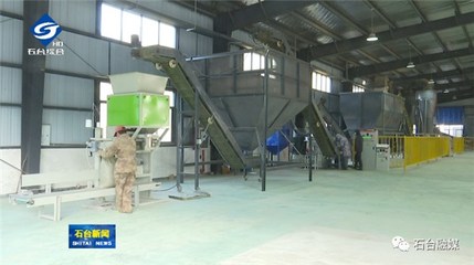 我縣首家生物質(zhì)顆粒項(xiàng)目正式投產(chǎn)，開啟綠色燃料新篇章
